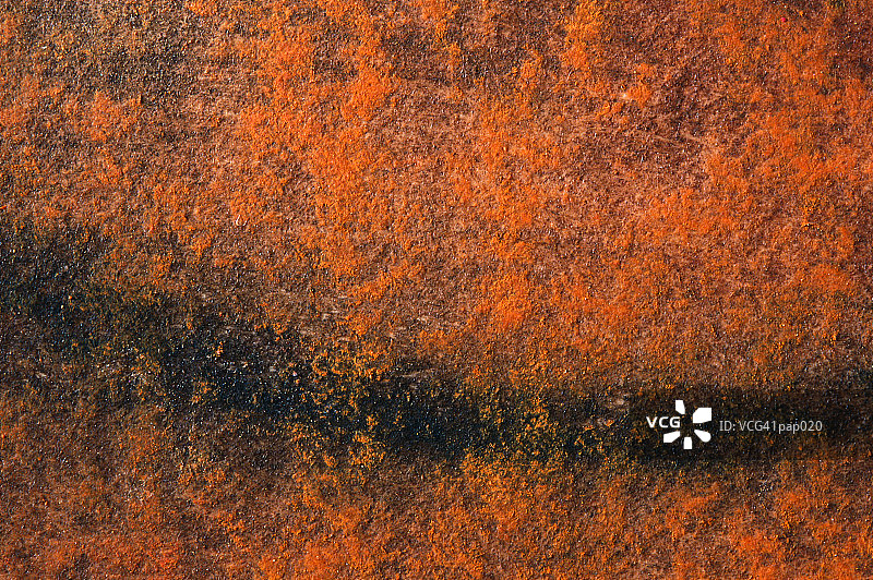 黄橙色背景图片素材