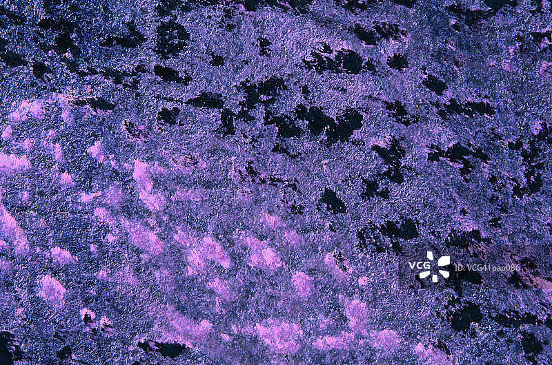 紫色和黑色背景图片素材