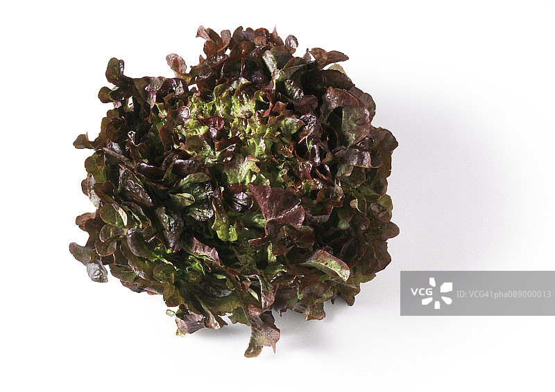 红色生菜头部顶视图特写图片素材