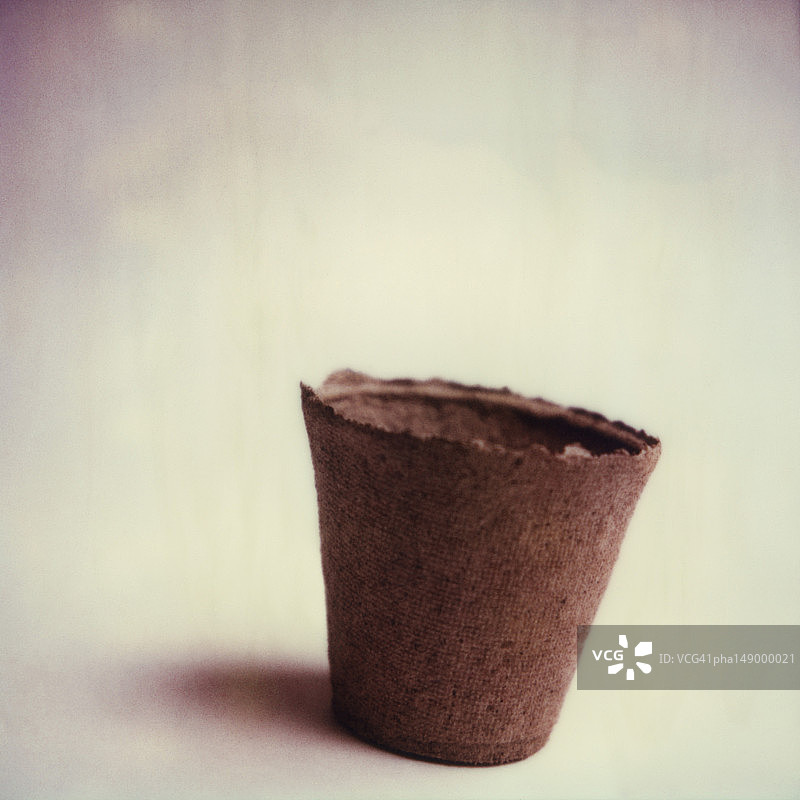 植物盆栽图片素材