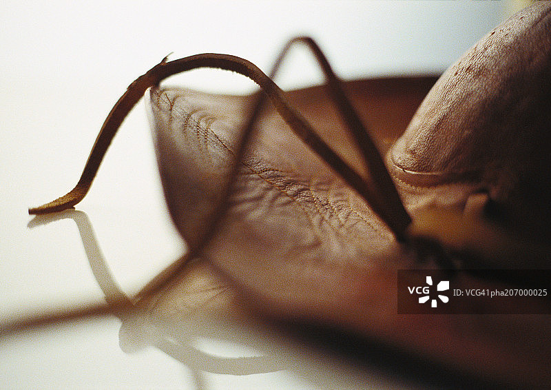 皮革帽子特写图片素材