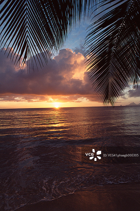 马提尼克岛盐沼湾图片素材