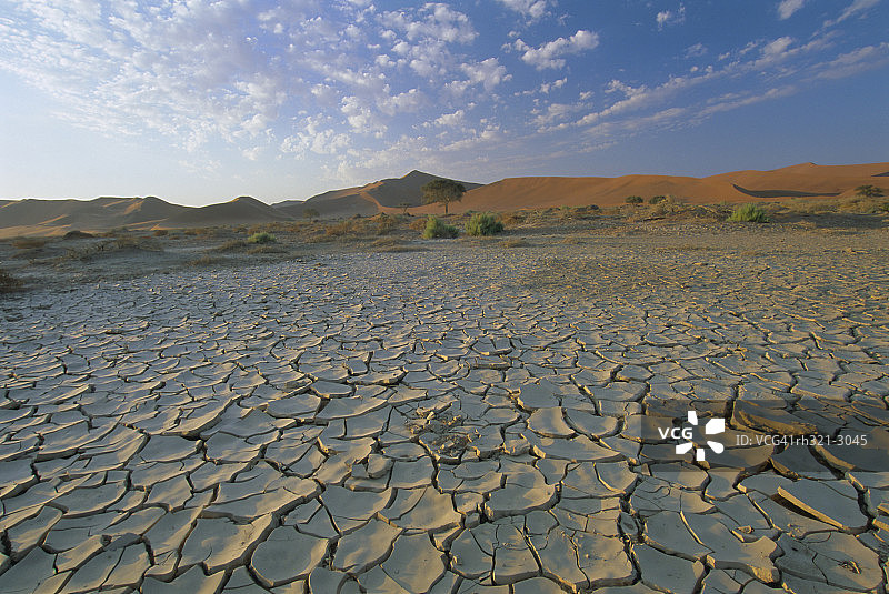纳米布公园干裂土地图片素材