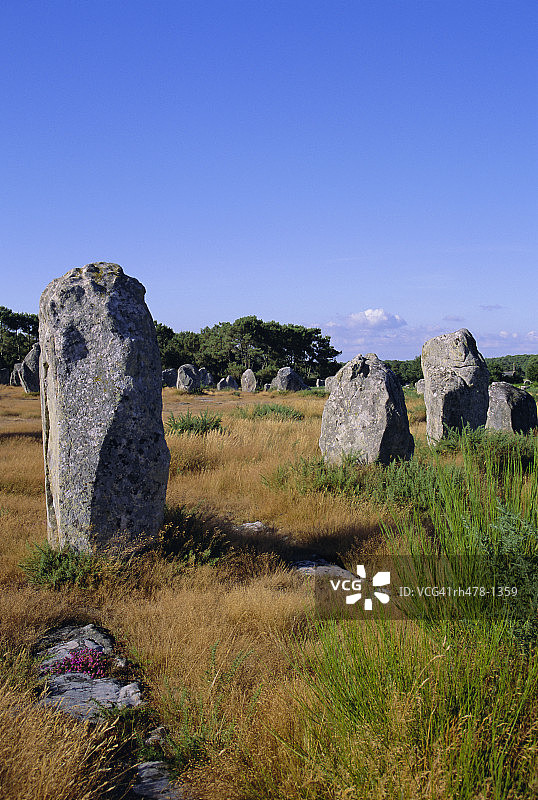 卡纳克立石阵，布列塔尼，法国，欧洲图片素材