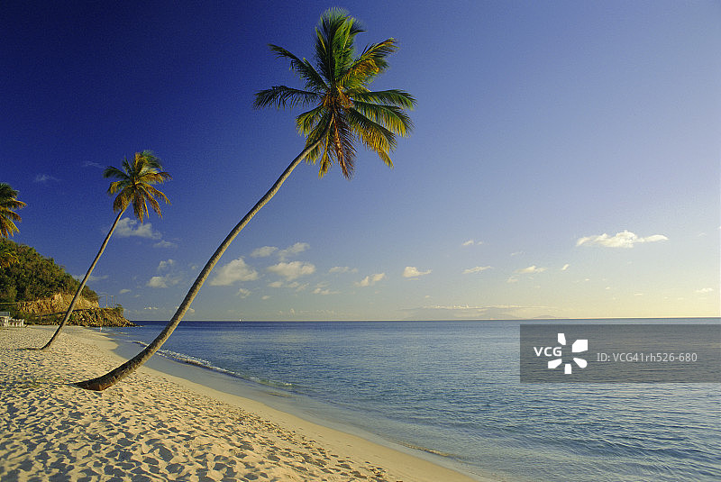 黑暗木海滩，安提瓜，加勒比，西印度群岛图片素材