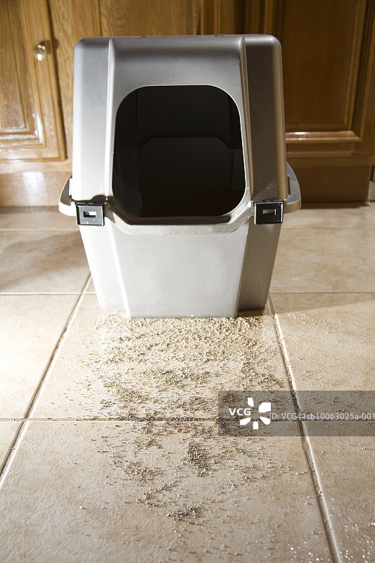 洒落一地的猫砂图片素材