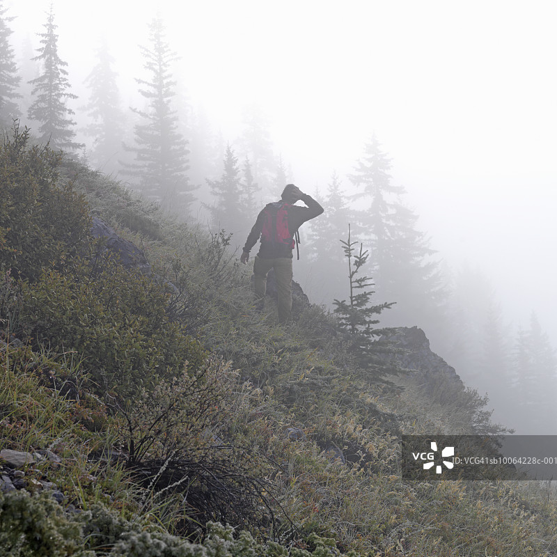 雾中陡峭山坡上的徒步者（后视图）图片素材