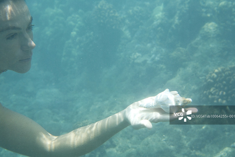 手拿贝壳在水中游泳的女人水下视角图片素材