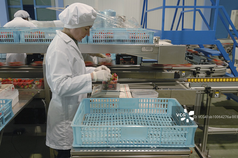 在食品厂工作的女工人（侧面）图片素材