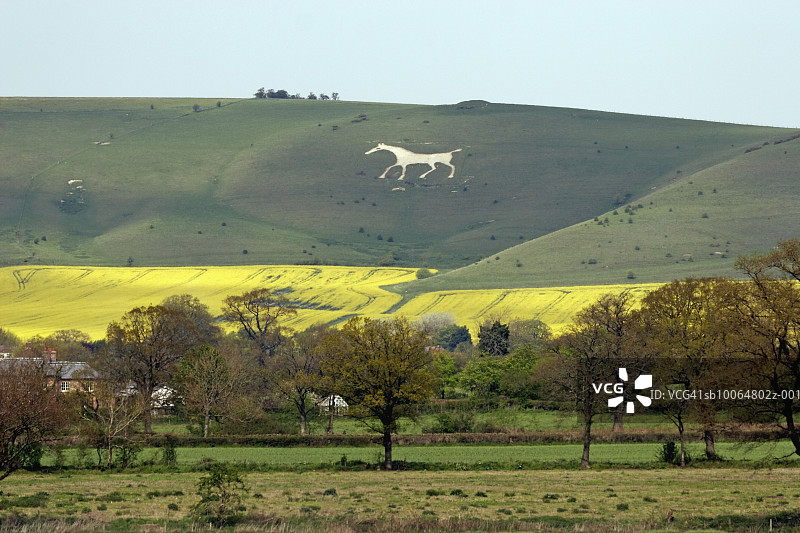 英国威尔特郡皮尤西谷：山坡上的白马图片素材