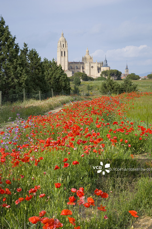 塞哥维亚大教堂与田野图片素材