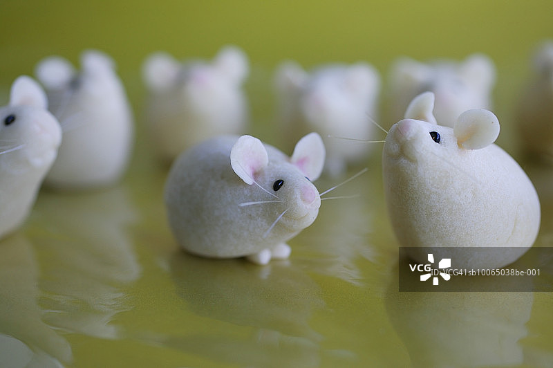 反光面上由粘土制成的两只白色小鼠，背景中还有其他小鼠图片素材
