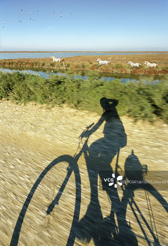 在泥路上骑自行车的人影图片素材