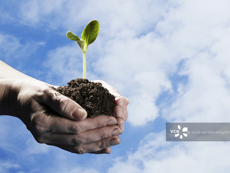 手持泥土中幼苗的人，手部特写，背景是天空图片素材