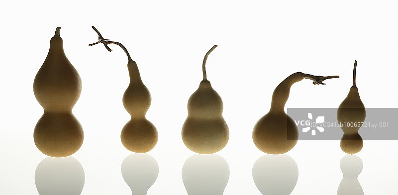 白色背景上的五个葫芦图片素材