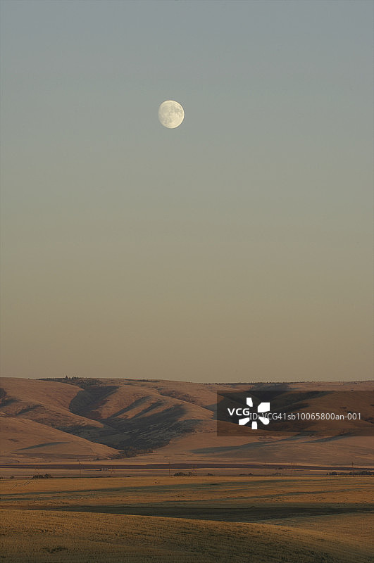 月色下的沙漠图片素材