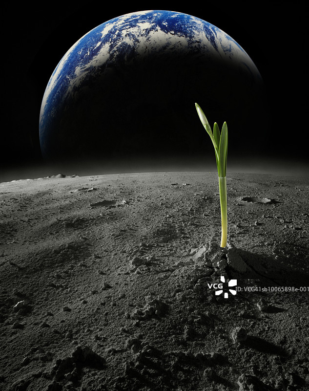 月球上的植物嫩芽，背景为地球图片素材