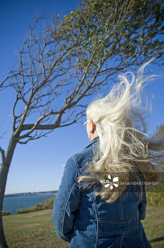 年长的女人看着树，背影图片素材