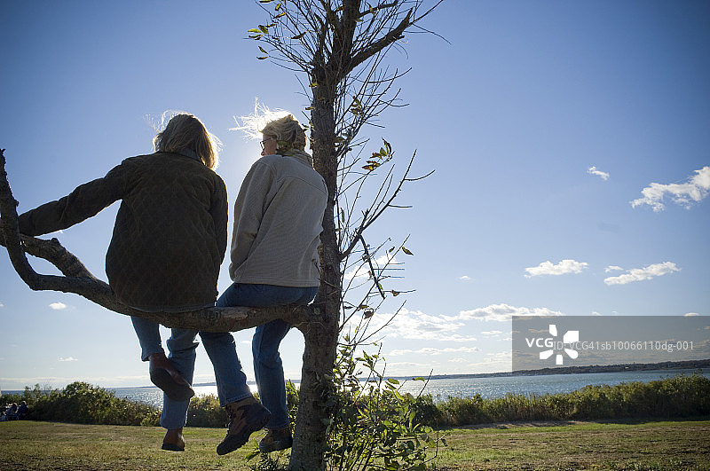 两个女人坐在树上的背影图片素材