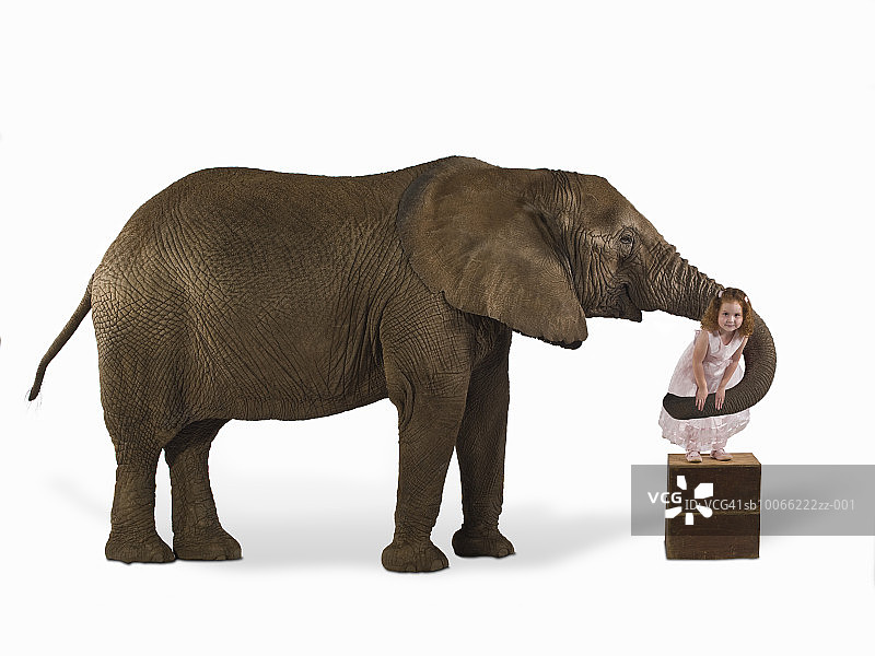 3-4岁女孩与大象玩耍（数字合成）图片素材