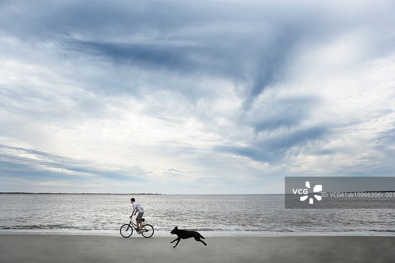 海滩边，狗追逐骑自行车的男孩（14-15岁），侧视图图片素材