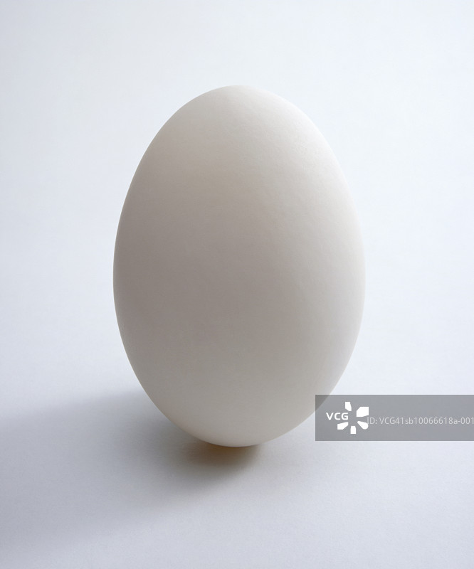 鸭蛋特写图片素材
