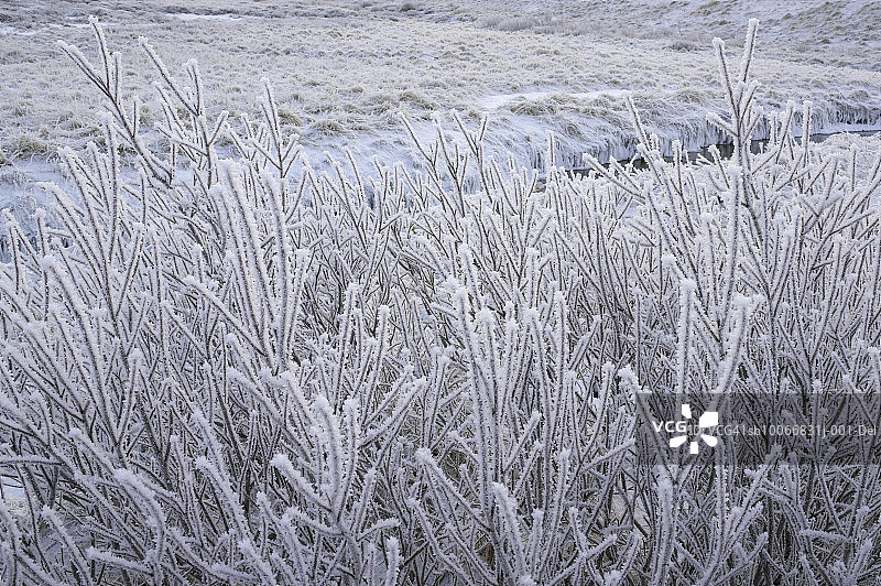 冰岛的雪原图片素材