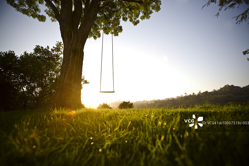 黄昏时树上的绳索秋千图片素材