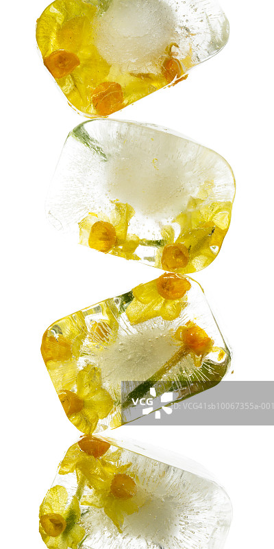 冰块中冰冻的鲜花，工作室拍摄图片素材