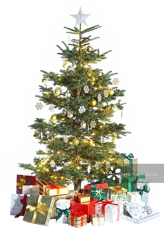 白色背景上的圣诞树图片素材