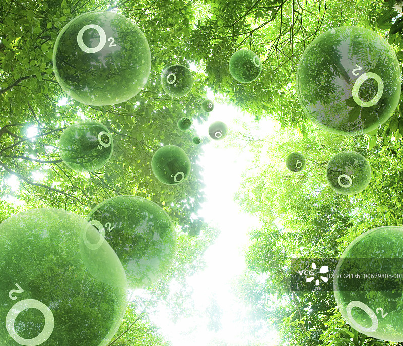 氧分子穿梭树林图片素材