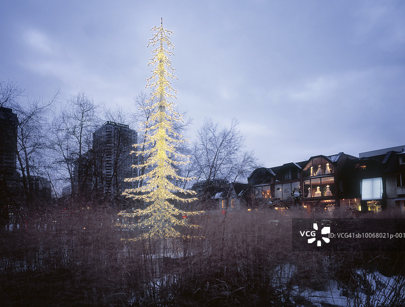 加拿大安大略省多伦多约克维尔的圣诞树购物街图片素材