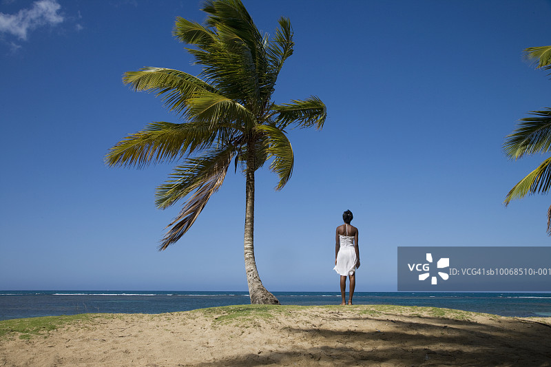 背对热带海洋，站在棕榈树旁的女人图片素材