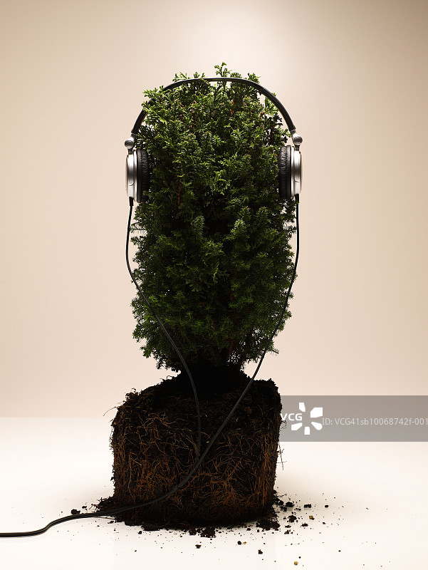 植物上的耳机，特写图片素材