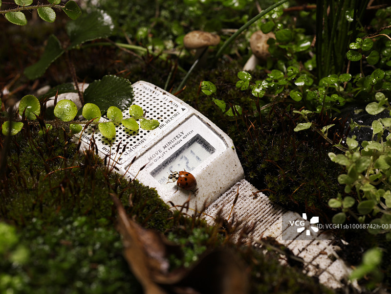 泥浆中的腕表特写图片素材
