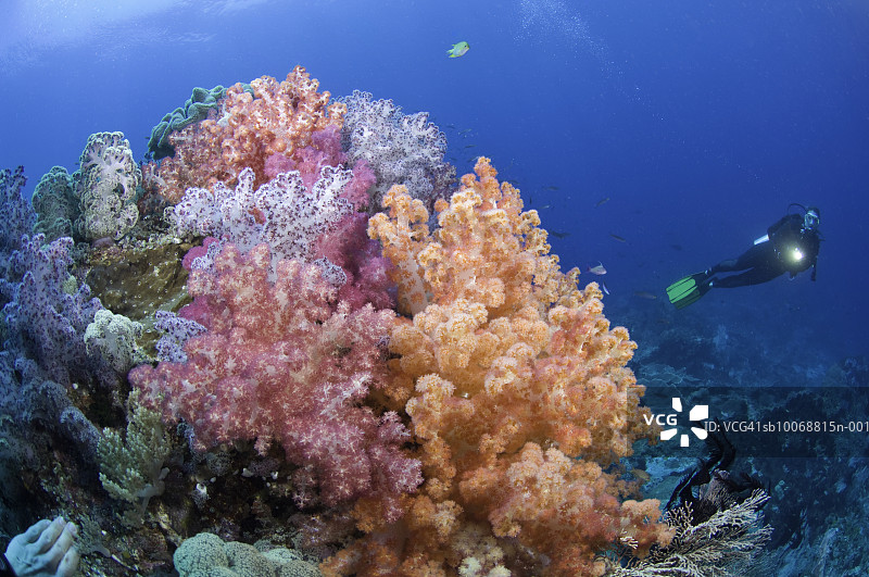 潜水员在礁石中使用手电筒（水下视角）图片素材