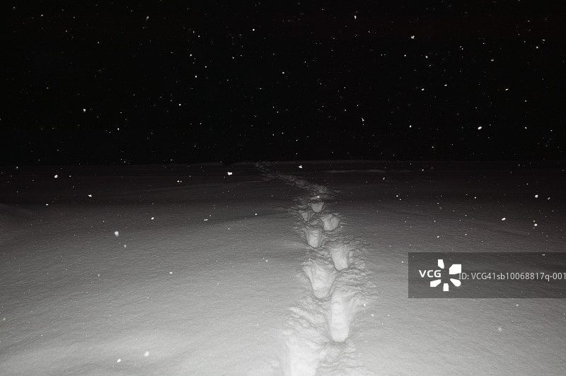 瑞典，博尔于斯诺尔伯顿：雪地上的脚印图片素材
