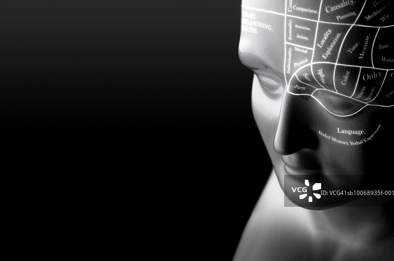 颅相学头部特写图片素材