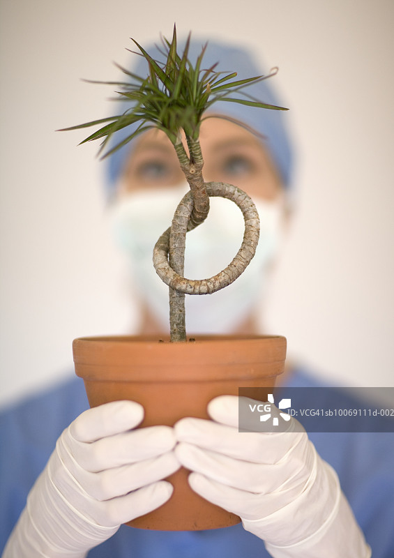拿着盆栽植物的女外科医生图片素材