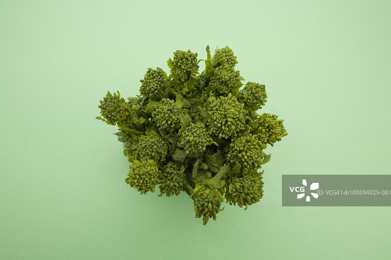 绿色背景上的欧芹图片素材