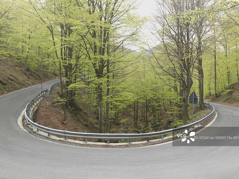 穿过森林的乡村道路图片素材