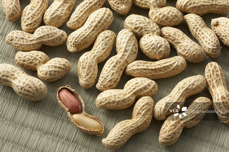 榻榻米上的花生图片素材