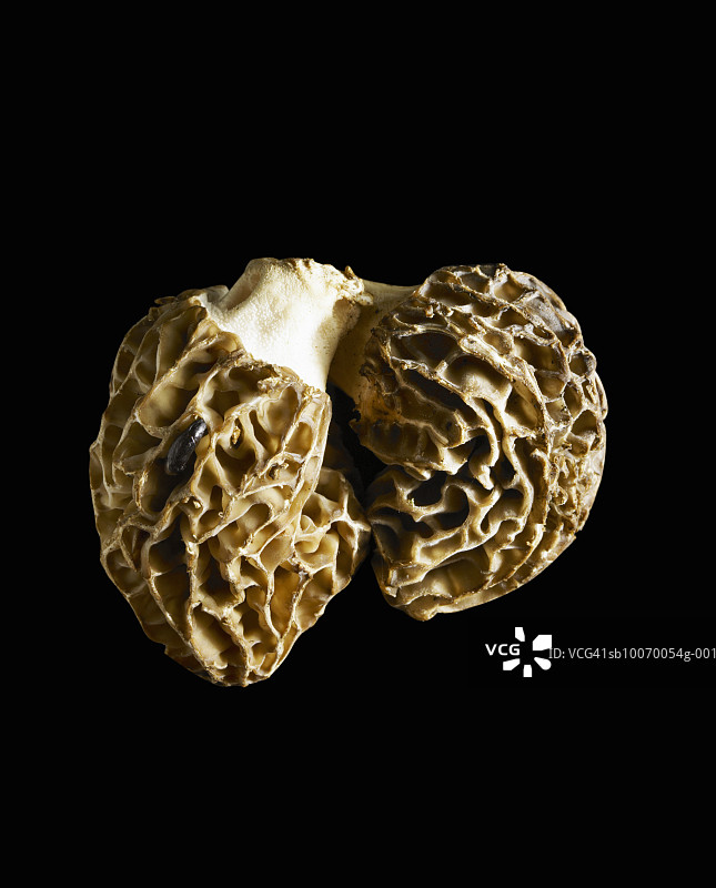 黑背景上的白松露特写图片素材