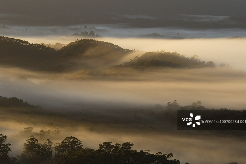澳大利亚塔斯马尼亚西南国家公园亚瑟平原的雾景图片素材