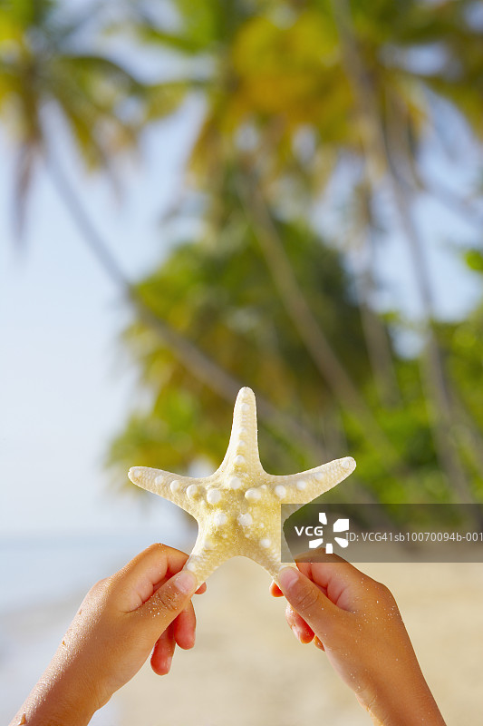 女孩（6-7岁）举起海星，手部特写图片素材