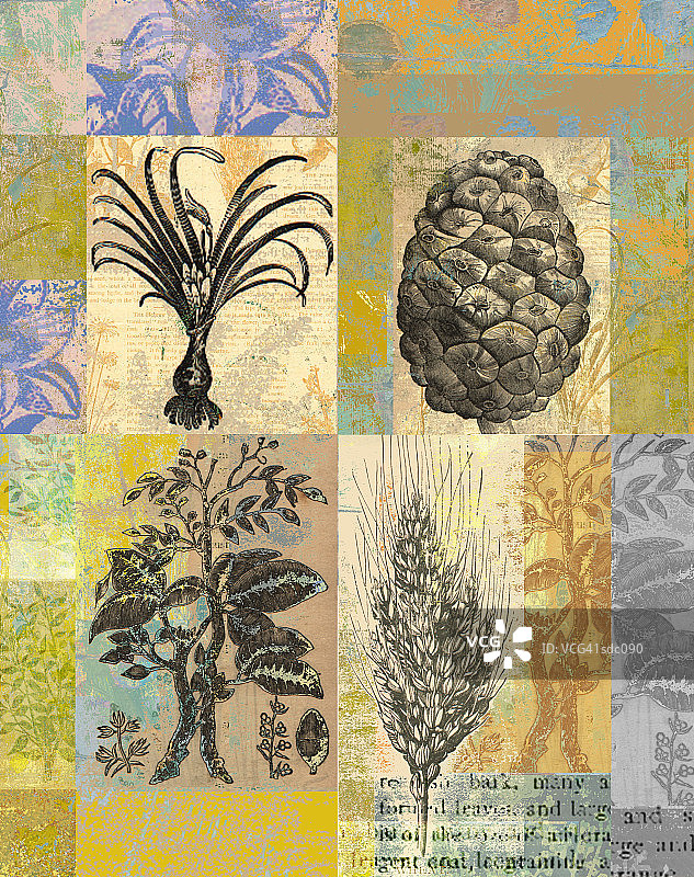 四季植物符号图片素材