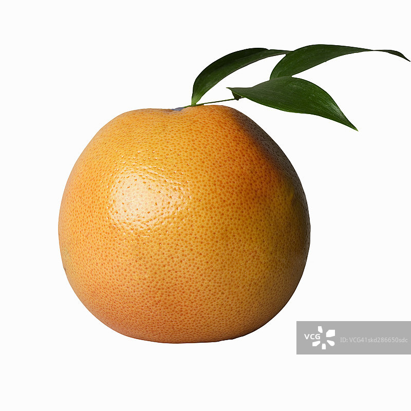 粉色葡萄柚特写图片素材