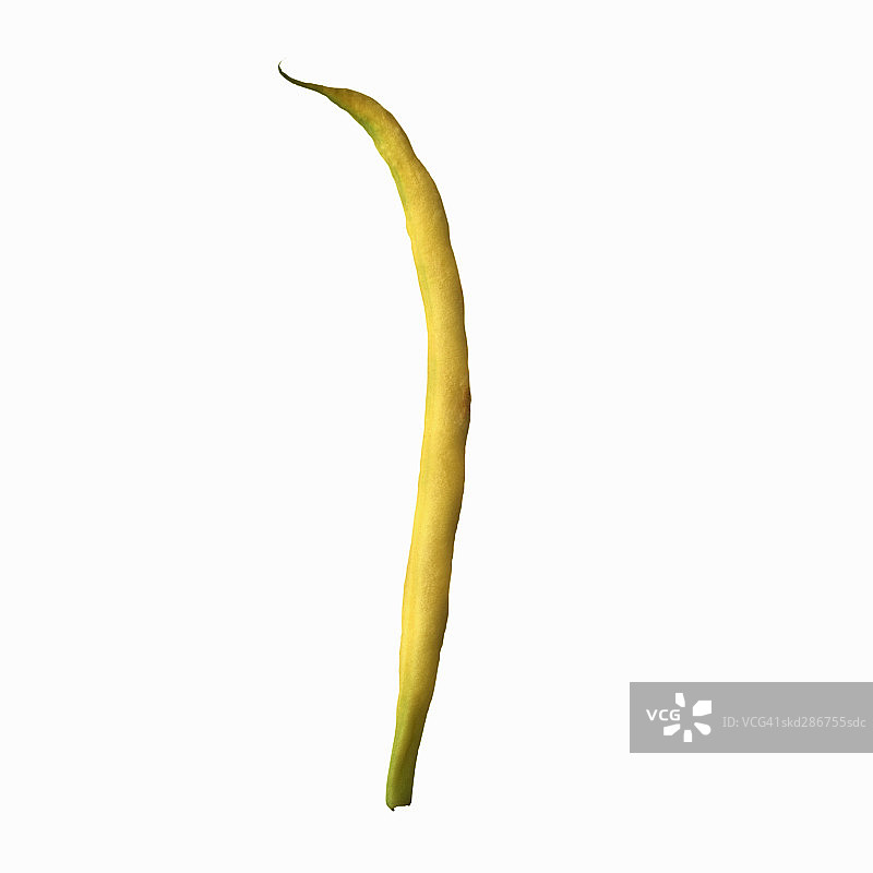 黄色蜡豆特写图片素材
