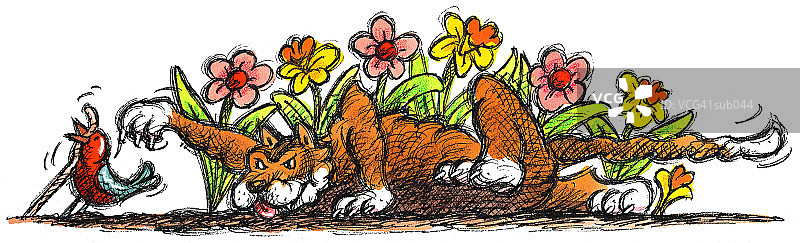 猫咪窥视小鸟图片素材