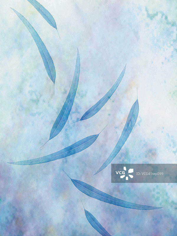 落下的柳叶图片素材